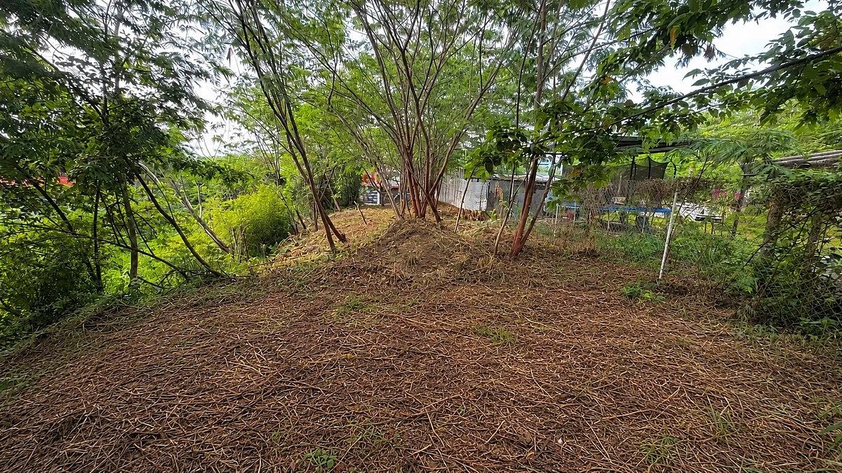 Terreno en Rivera Cerro Hueco, Tuxtla Gutiérrez, foto 7 de 9