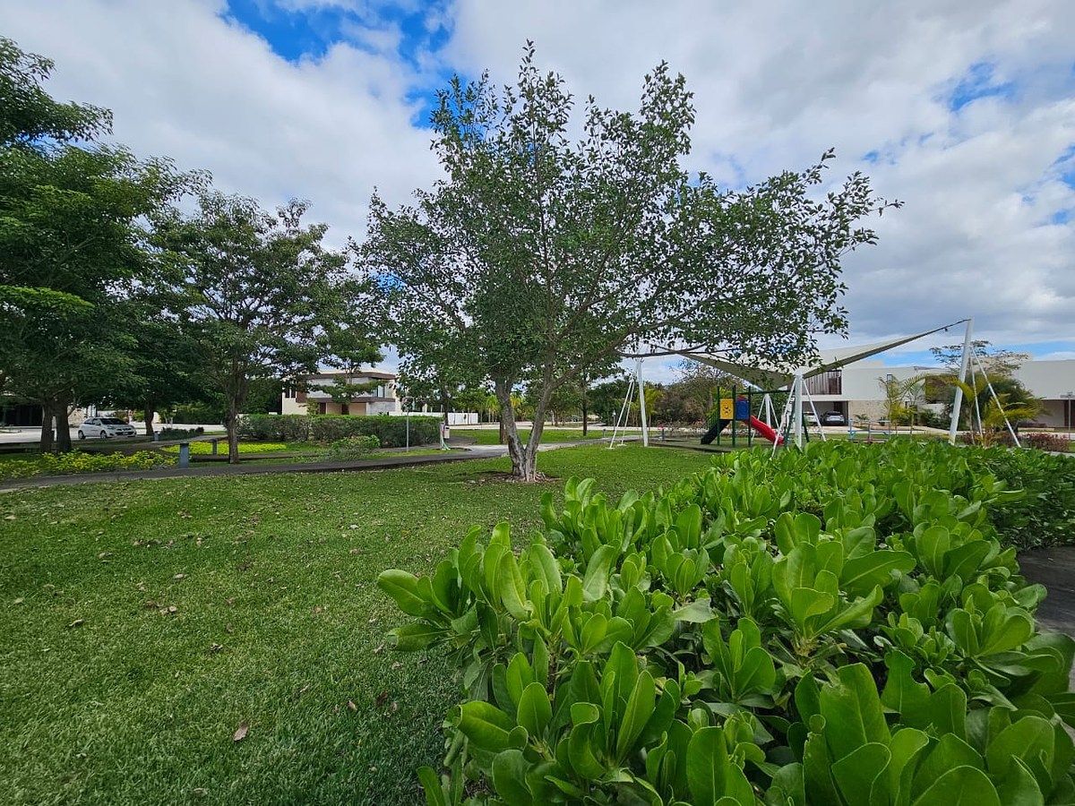 Lote em Komchen, Mérida, foto 10 de 12
