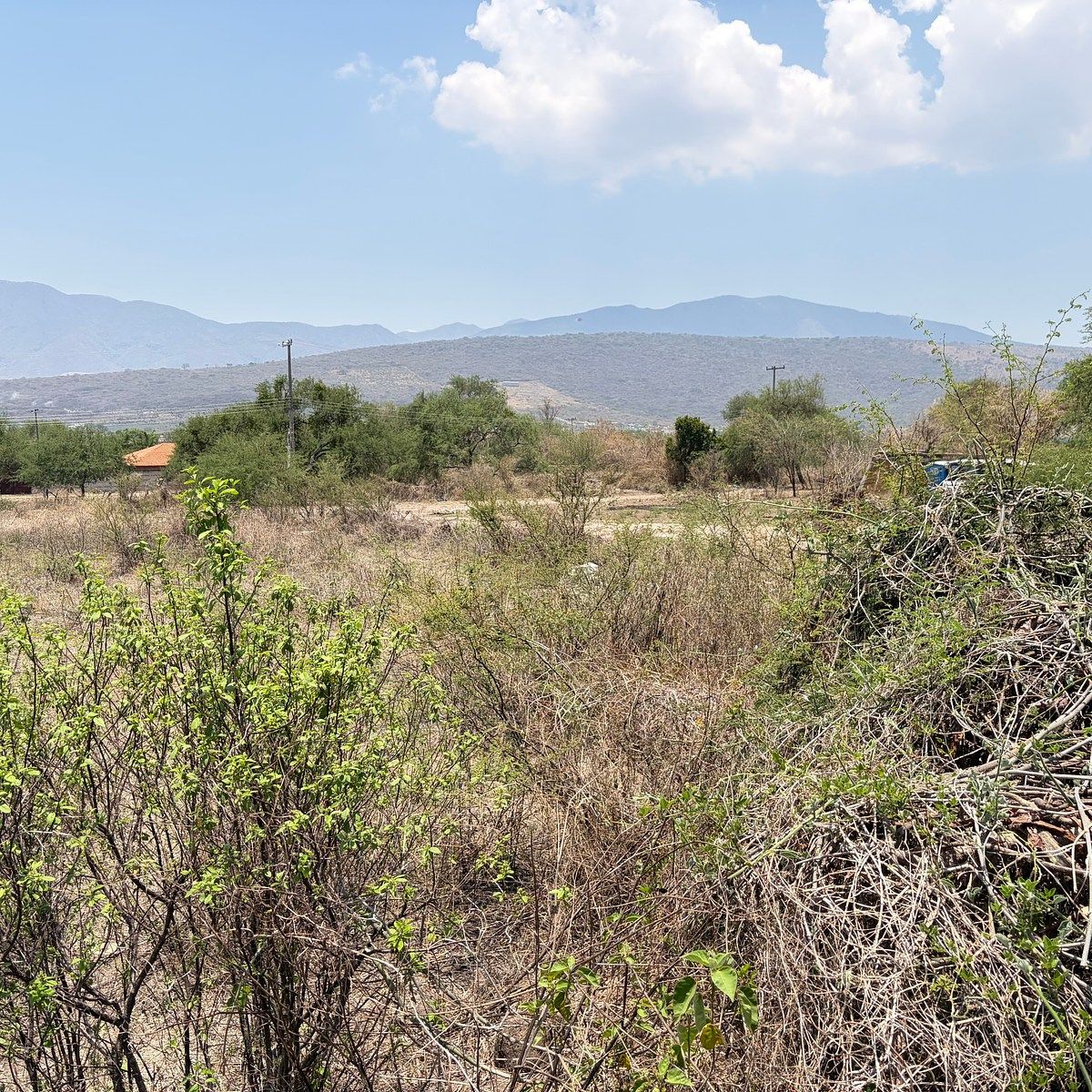 Terreno en Santa Rosa (La Hacienda de Santa Rosa), Ixtlahuacán de los Membrillos, foto 4 de 6