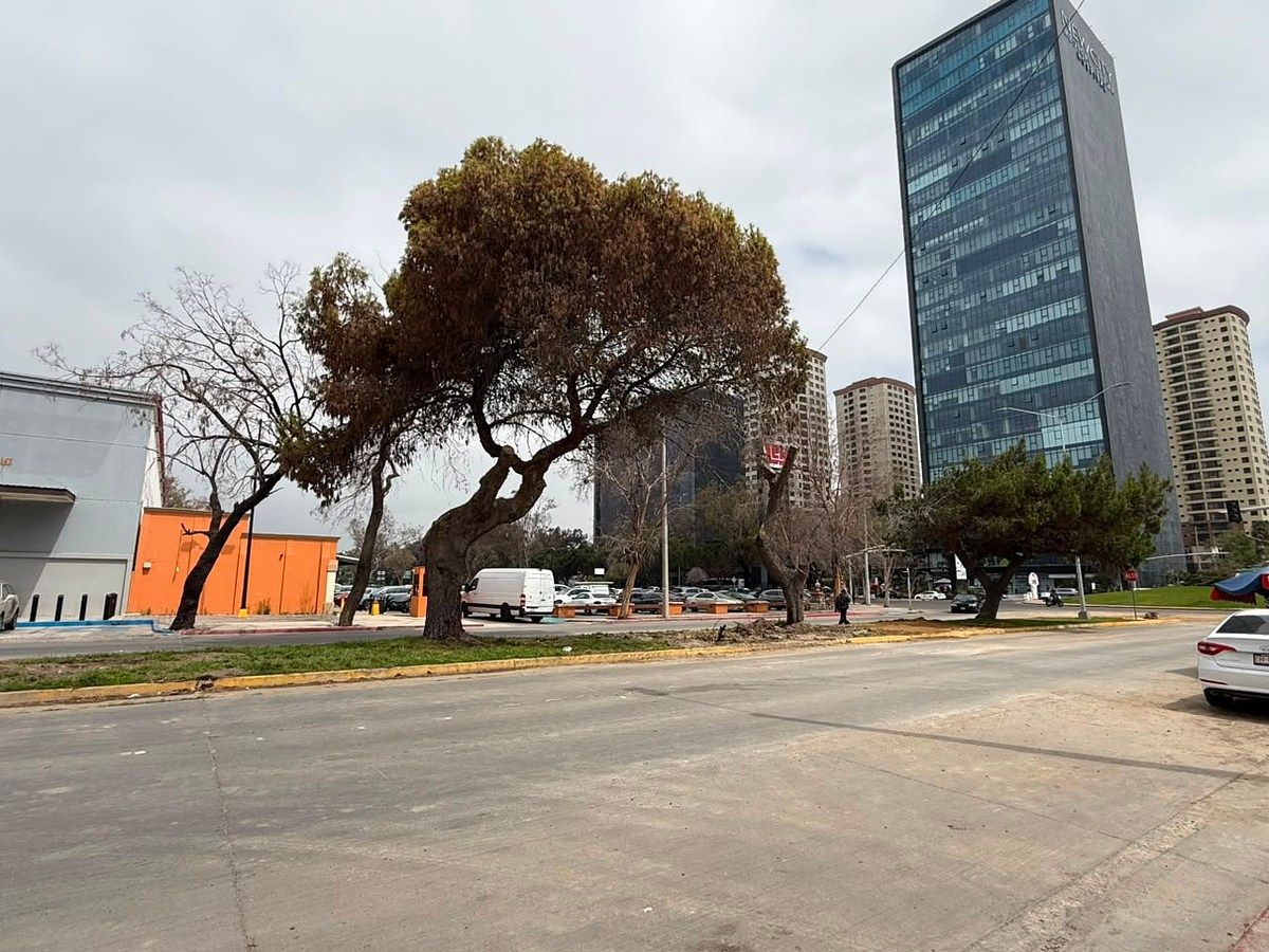 Departamento en Libertad, Tijuana, foto 6 de 23