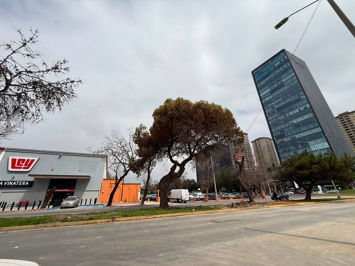 Departamento en Libertad, Tijuana, foto 8 de 23