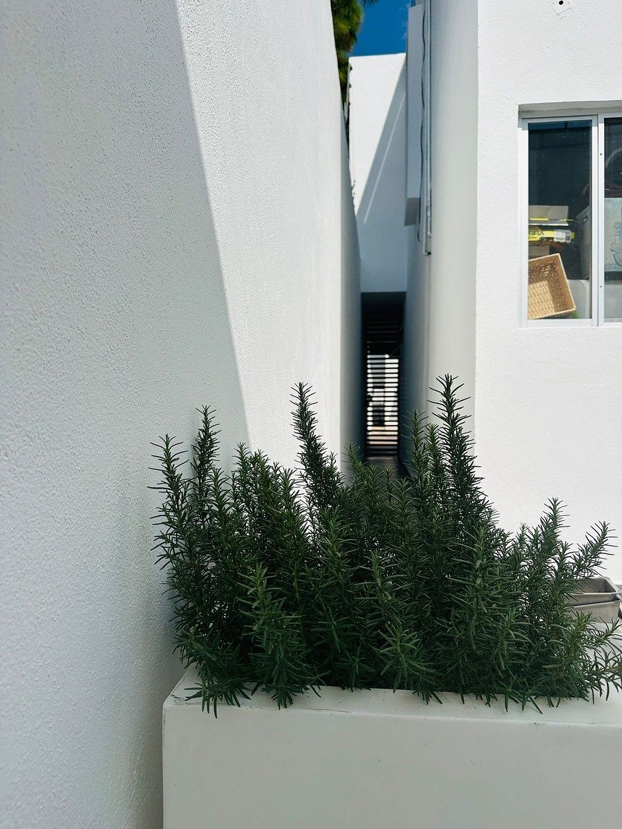 Casa em La Querencia, Aguascalientes, foto 10 de 23