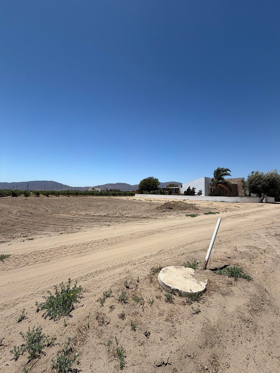 Lote em El Porvenir (Guadalupe), Ensenada, foto 5 de 17