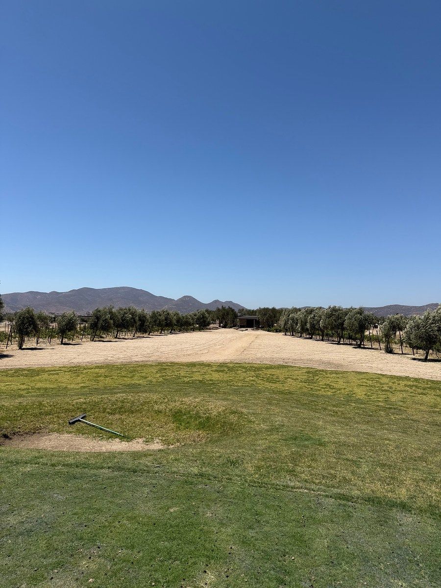 Lote em El Porvenir (Guadalupe), Ensenada, foto 8 de 17