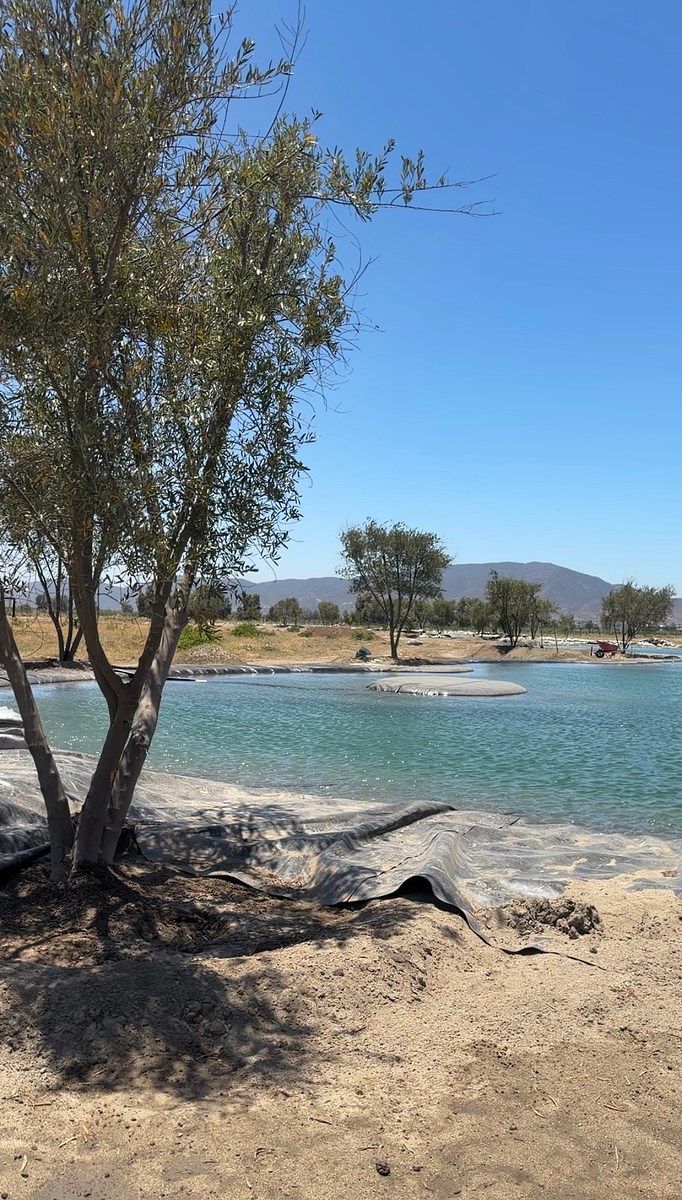 Lote em El Porvenir (Guadalupe), Ensenada, foto 11 de 17