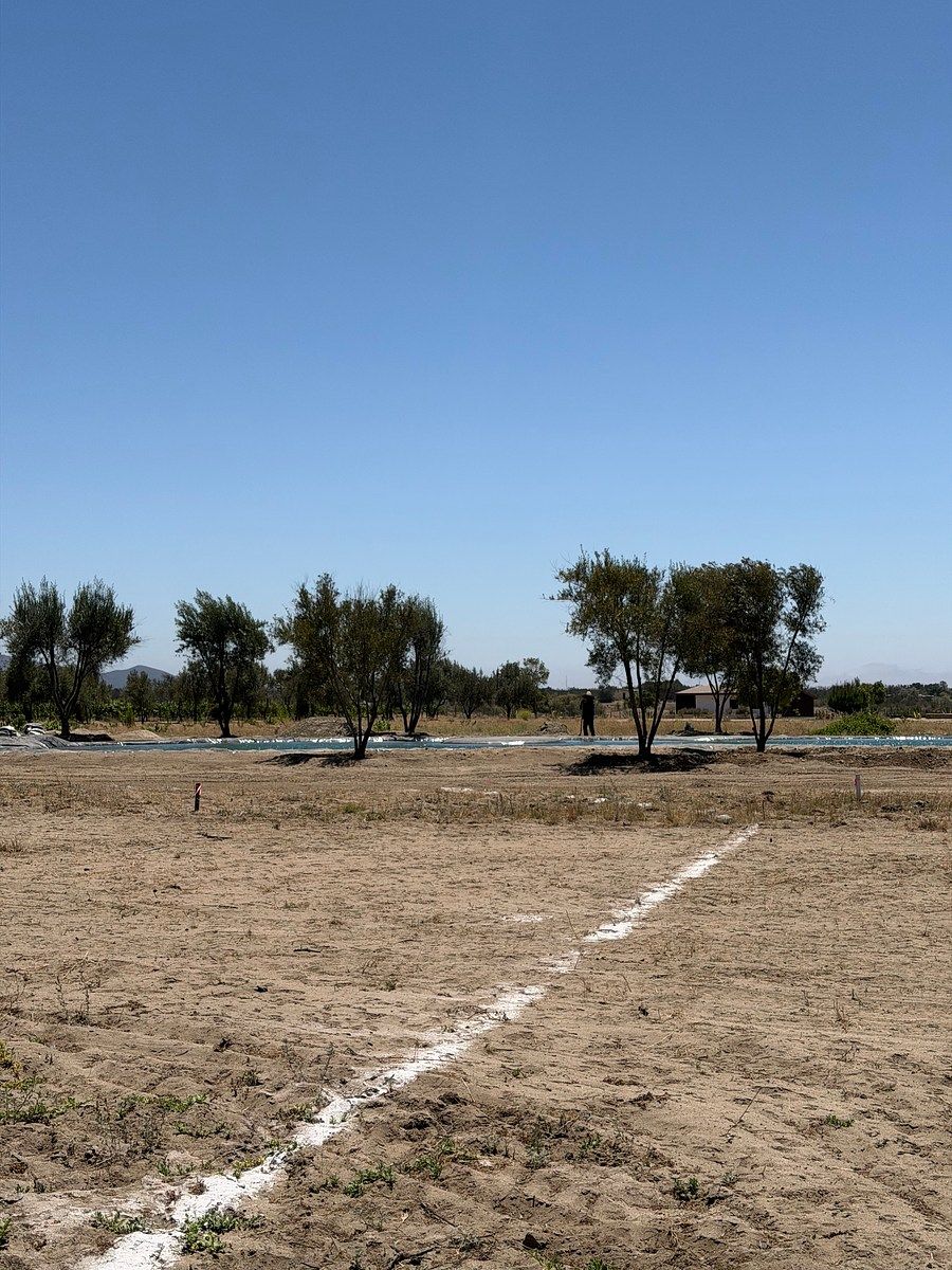 Lote em El Porvenir (Guadalupe), Ensenada, foto 15 de 17