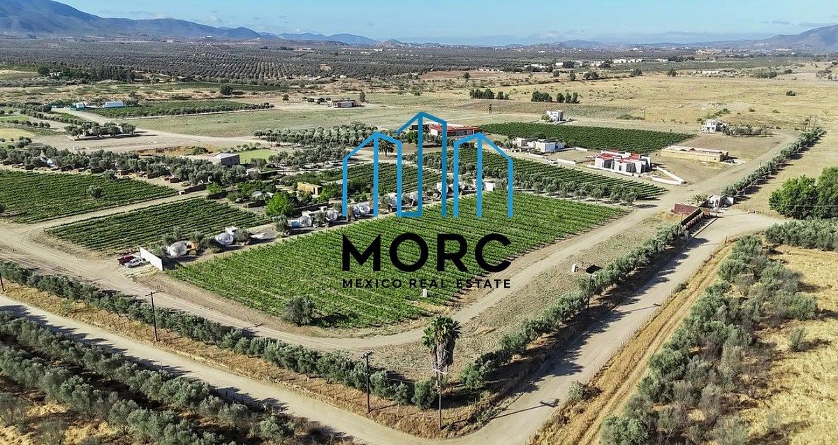VENTA DE TERRENOS EN LA RUTA DEL VINO 1000 M2, VALLE DE GUADALUPE, ENSENADA, B.C, foto 1 de 17