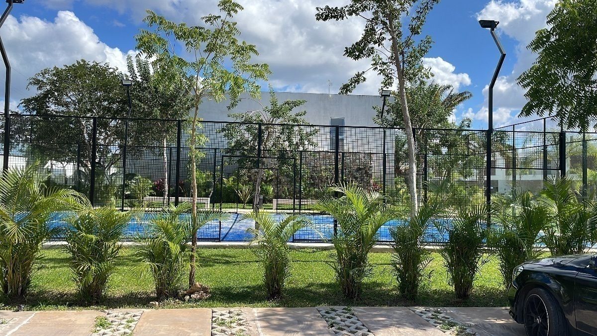 Canchas de pádel, foto 25 de 40