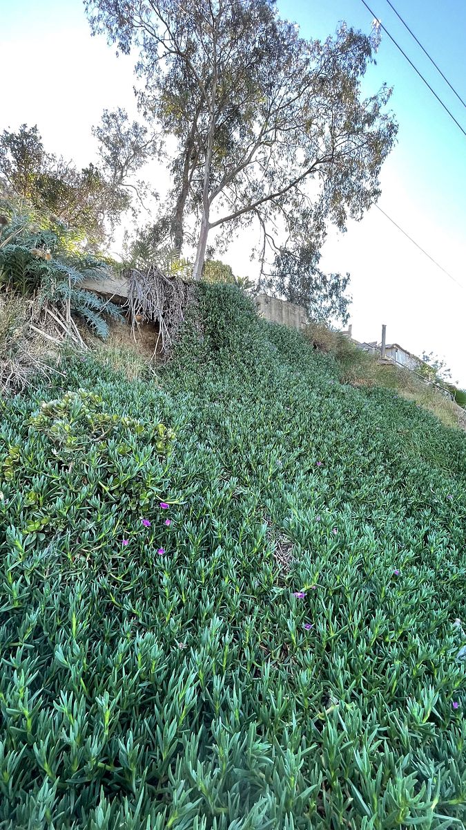 Lot in Rancho las Flores 2a Sección, Tijuana, photo 9 of 11