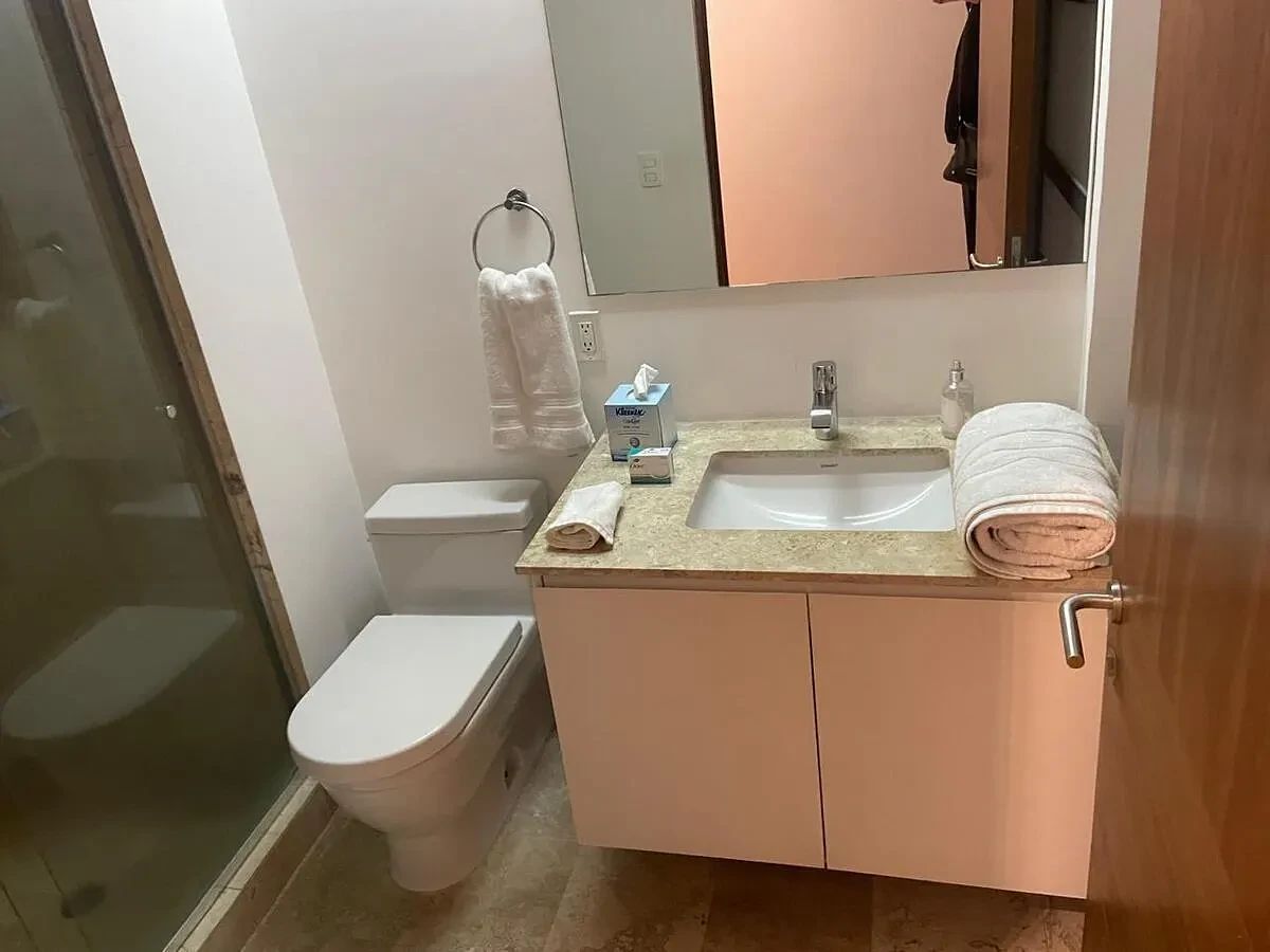 Apartamento em Polanco V Sección, Miguel Hidalgo, foto 17 de 20