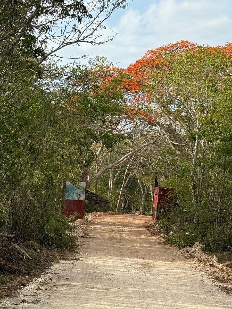 Rancho en Libre Unión, Yaxcabá, foto 3 de 23
