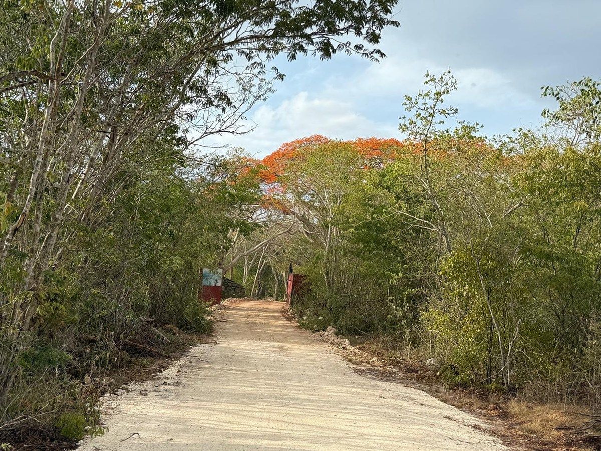 Rancho en Libre Unión, Yaxcabá, foto 5 de 23