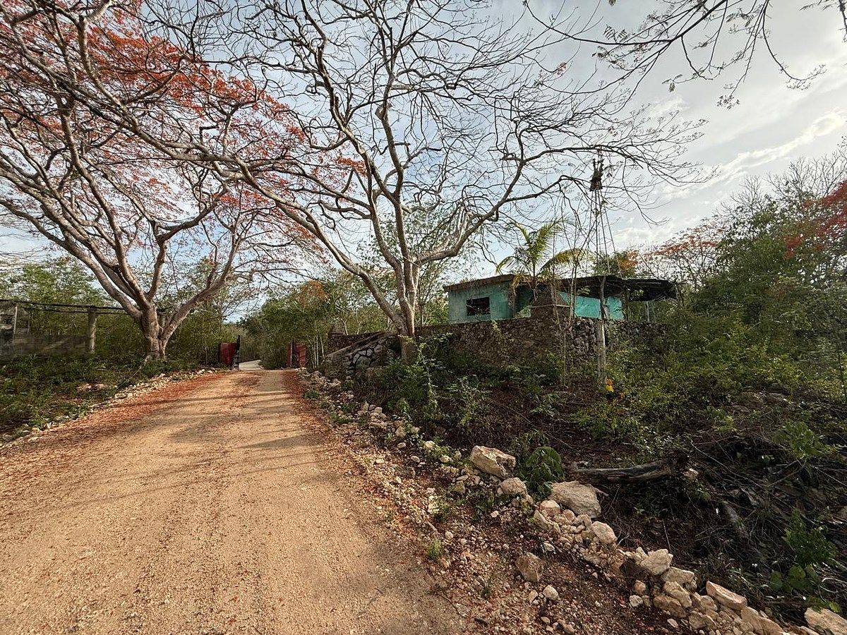 Rancho en Libre Unión, Yaxcabá, foto 6 de 23
