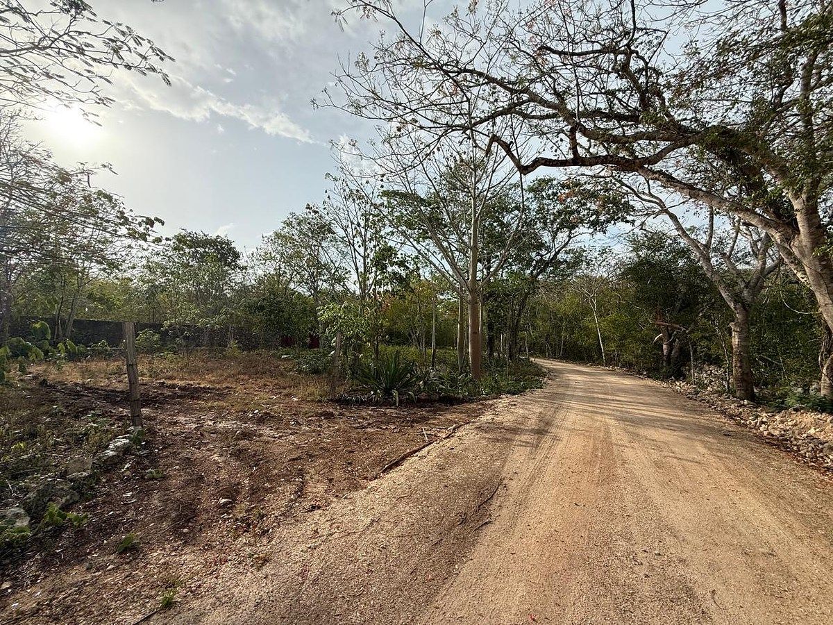 Rancho en Libre Unión, Yaxcabá, foto 8 de 23