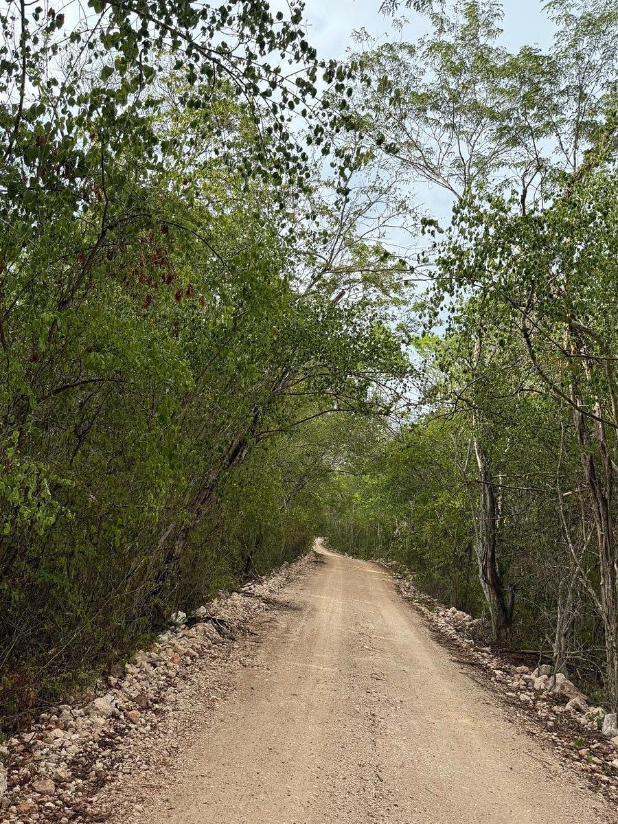 Rancho en Libre Unión, Yaxcabá, foto 9 de 23
