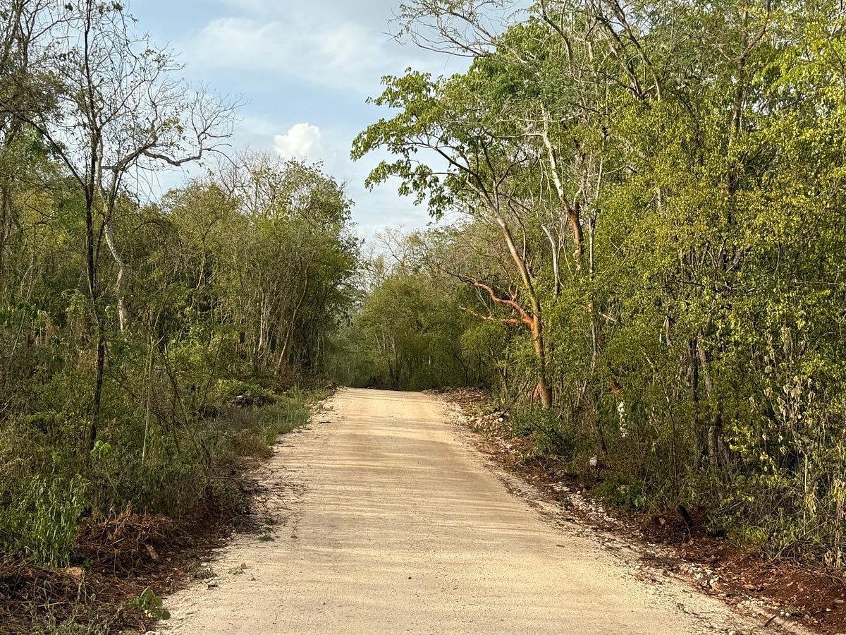 Rancho en Libre Unión, Yaxcabá, foto 11 de 23