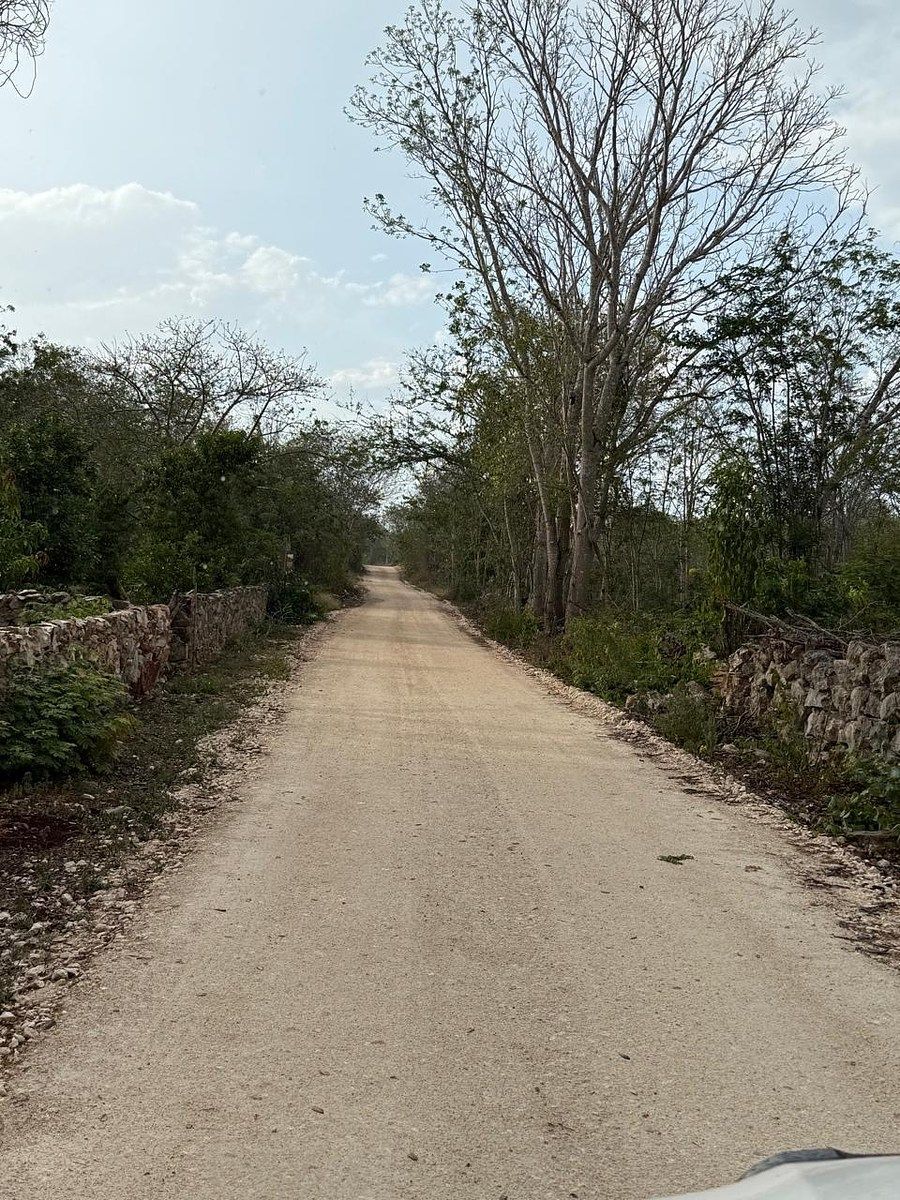 Rancho en Libre Unión, Yaxcabá, foto 12 de 23