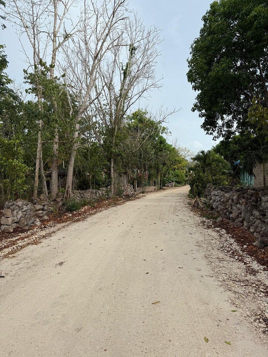 Rancho en Libre Unión, Yaxcabá, foto 14 de 23