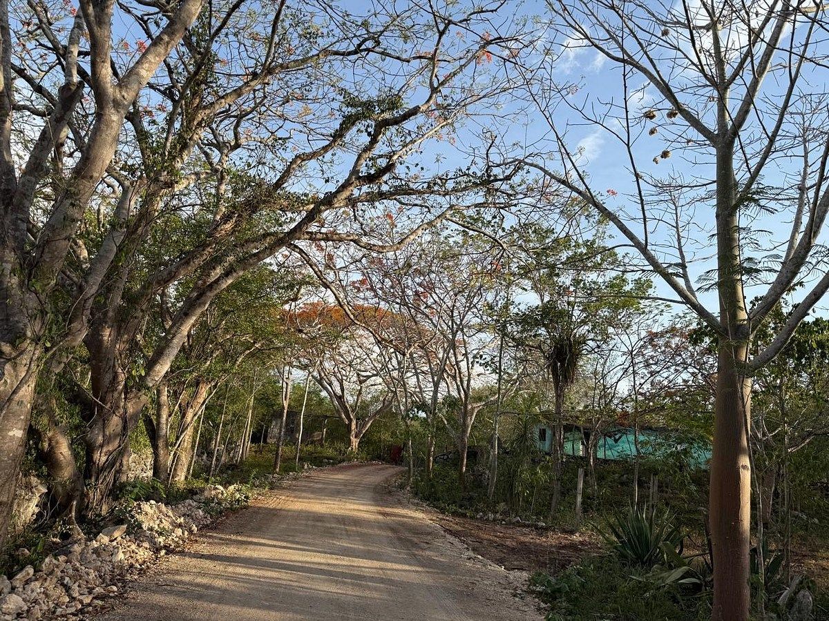 Rancho en Libre Unión, Yaxcabá, foto 15 de 23