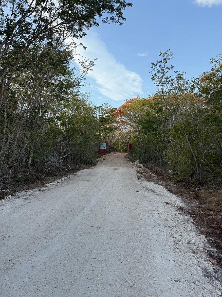 Rancho en Libre Unión, Yaxcabá, foto 17 de 23