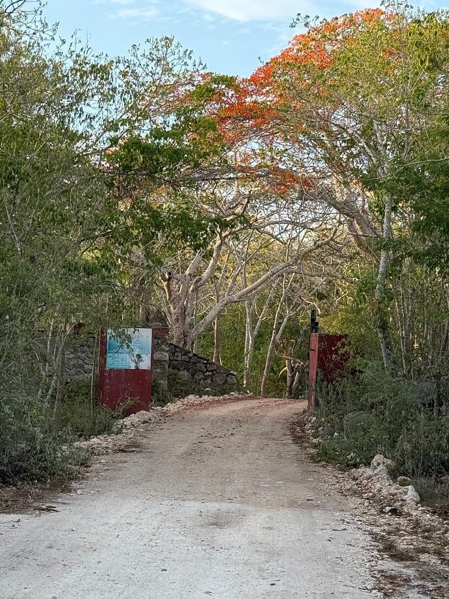 Rancho en Libre Unión, Yaxcabá, foto 16 de 23