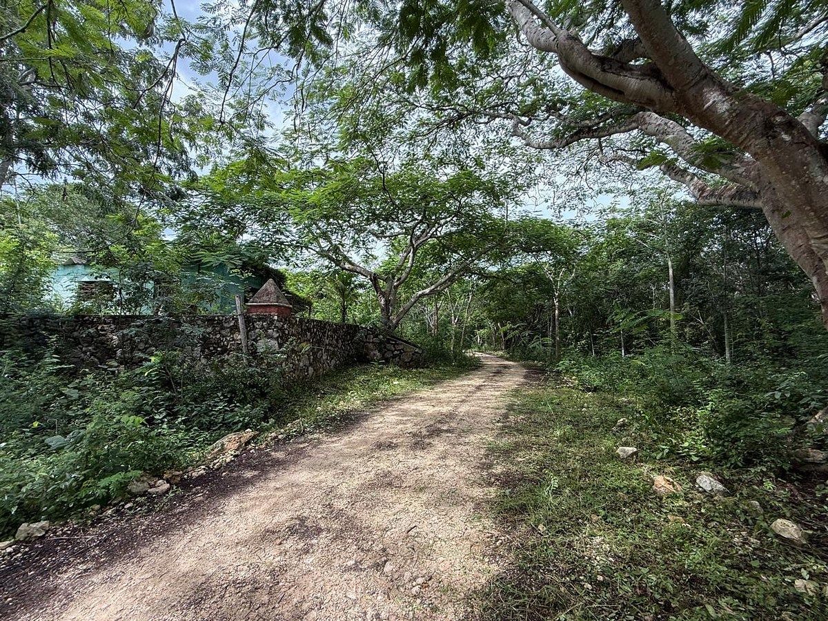 Rancho en Libre Unión, Yaxcabá, foto 18 de 23
