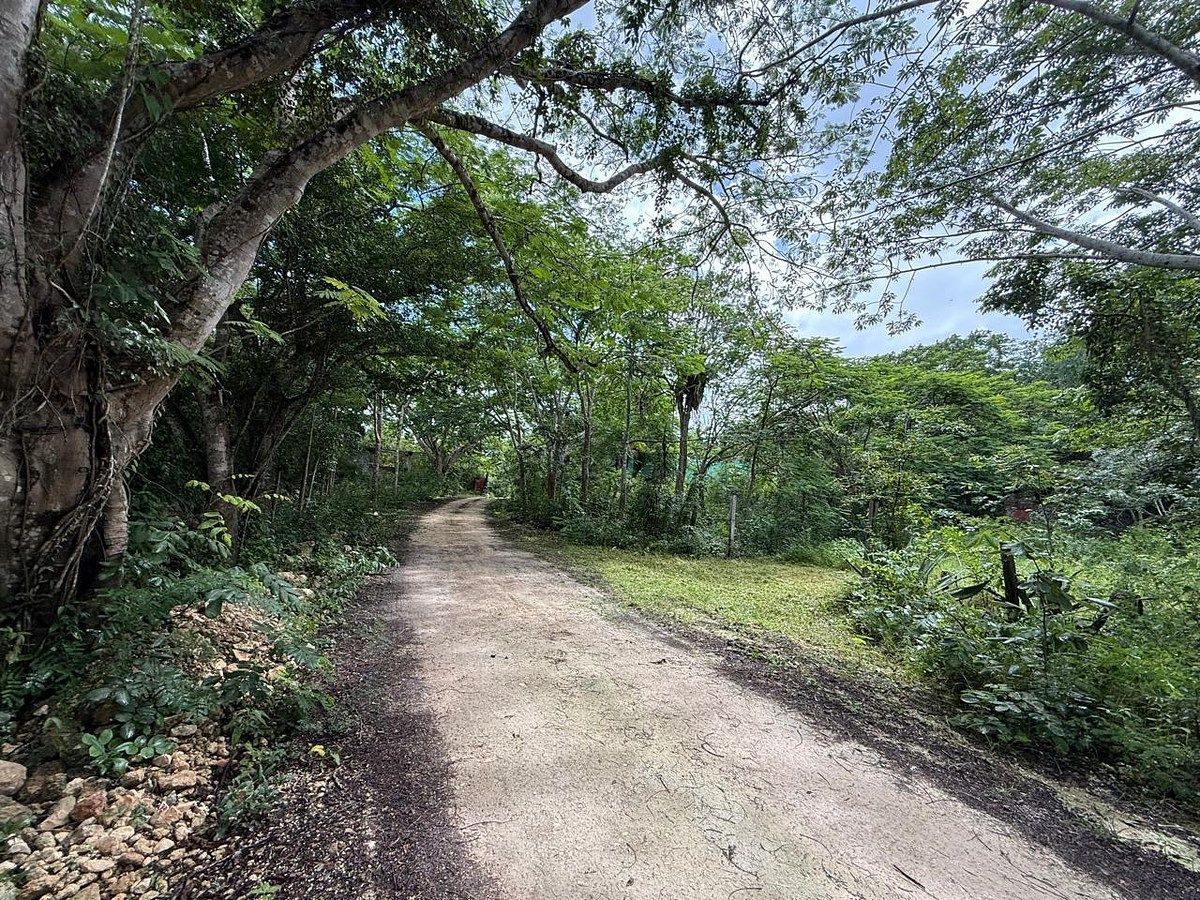 Rancho en Libre Unión, Yaxcabá, foto 19 de 23