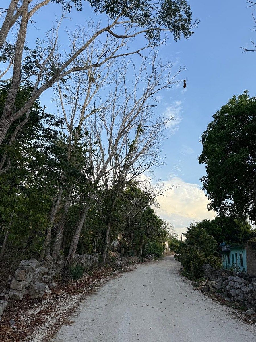 Rancho en Libre Unión, Yaxcabá, foto 20 de 23