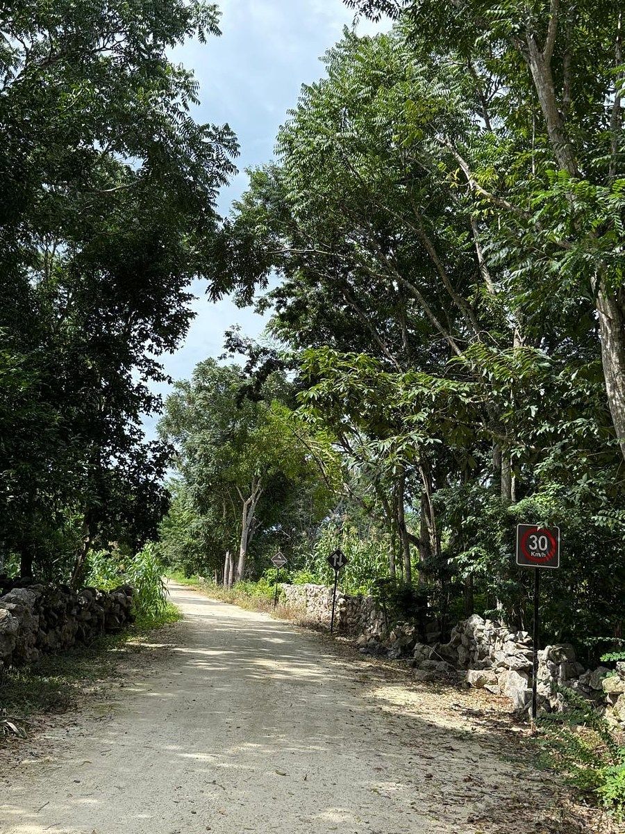 Rancho en Libre Unión, Yaxcabá, foto 21 de 23