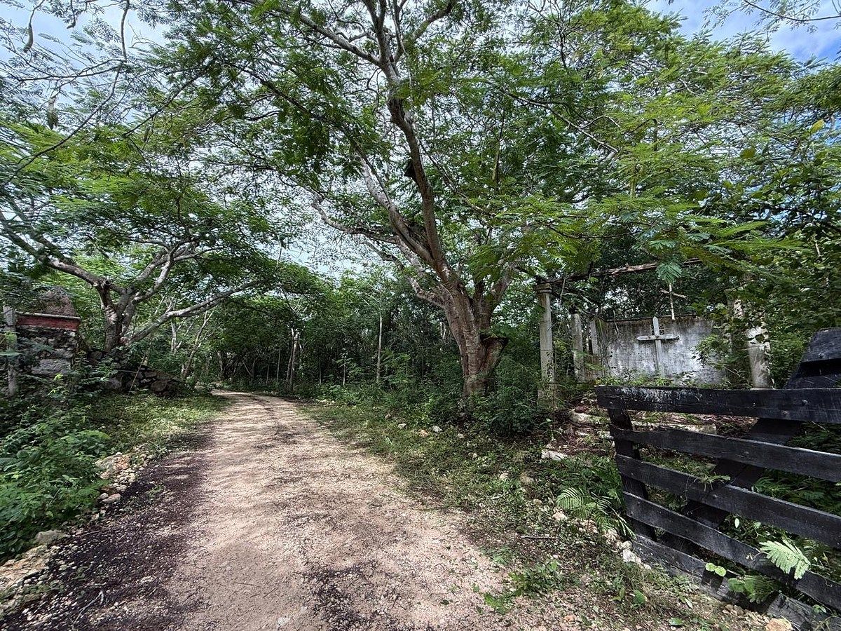 Rancho en Libre Unión, Yaxcabá, foto 22 de 23