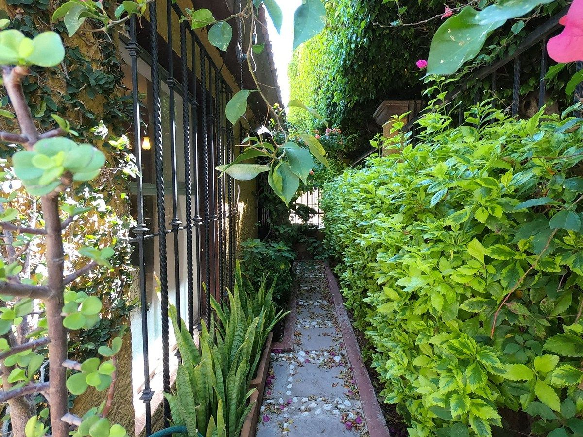 House in Loma Dorada, Querétaro, photo 3 of 30
