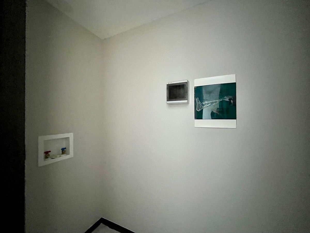 Apartamento em Jardines del Bosque Norte, Guadalajara, foto 14 de 22