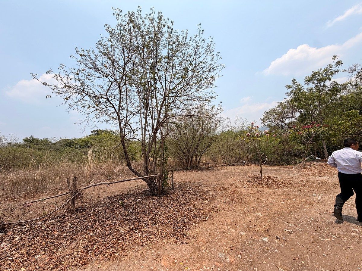 Terreno en Real del Bosque, Tuxtla Gutiérrez, foto 8 de 11