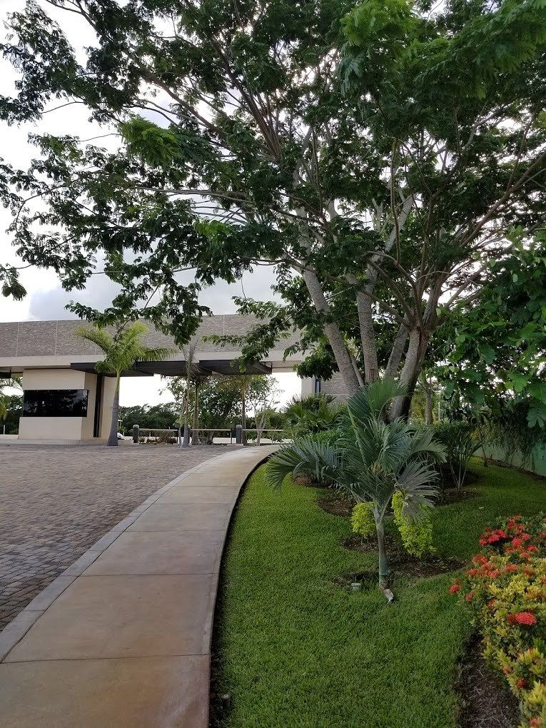 Terreno en Komchen, Mérida, foto 7 de 16