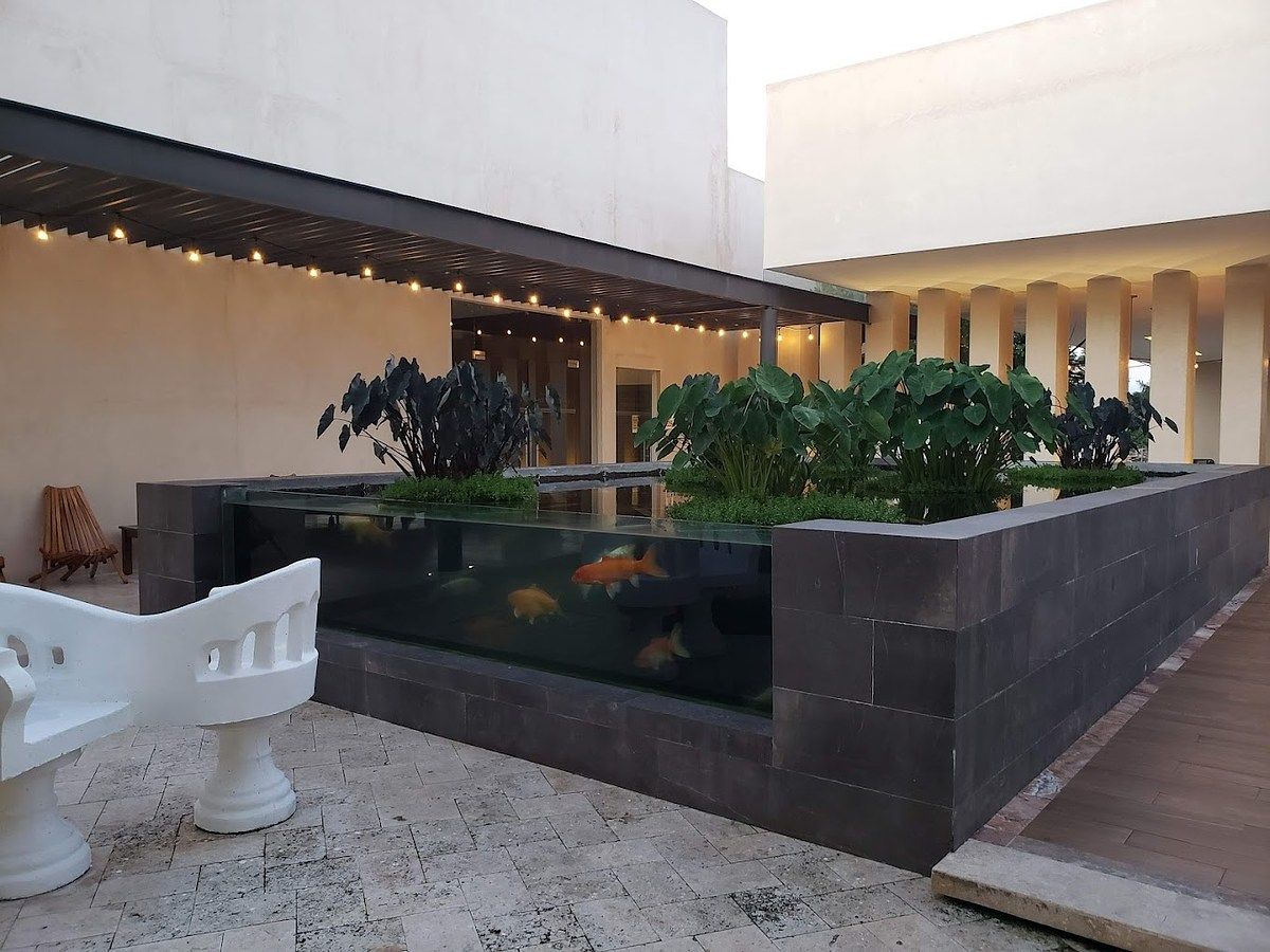 Terreno en Komchen, Mérida, foto 14 de 16