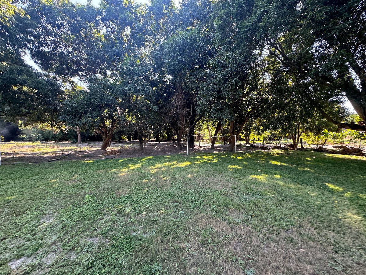 Quinta en La Toma, Miacatlán, foto 10 de 19