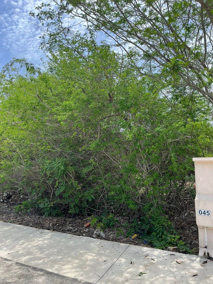 Lote em Residencial Club Norte Mérida, Mérida, foto 4 de 17