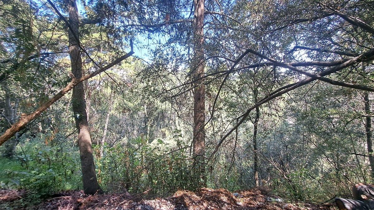 Lote em Jesús del Monte, Huixquilucan, foto 8 de 18