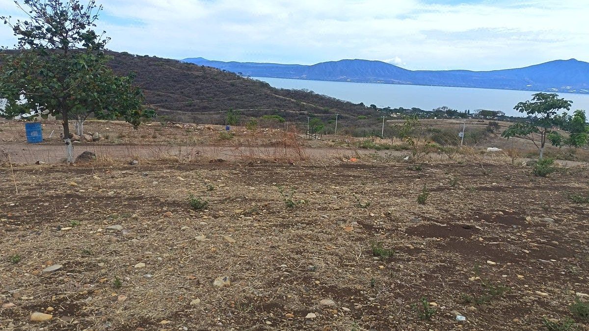 Terreno en San Antonio Tlayacapan, Chapala, foto 3 de 14