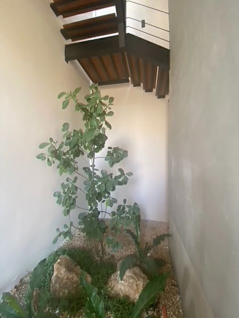 Apartamento em Montes de Ame, Mérida, foto 23 de 32