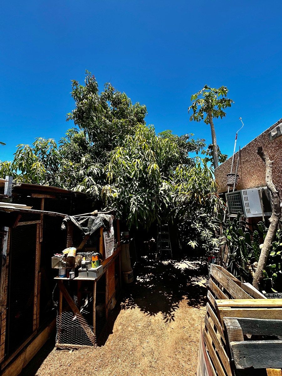 Casa em El Camino Real, La Paz, foto 21 de 22