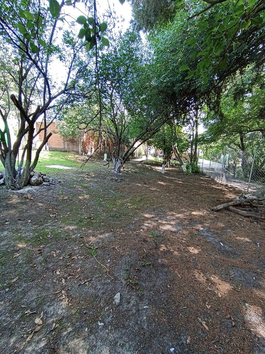 Terreno en Santiago Cuautlalpan, Tepotzotlán, foto 8 de 22