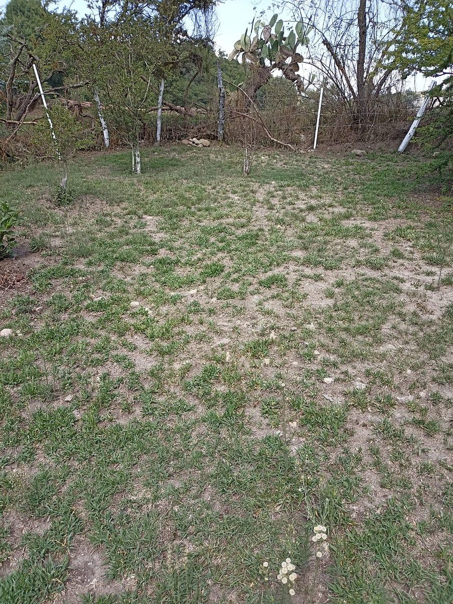 Terreno en Santiago Cuautlalpan, Tepotzotlán, foto 2 de 22