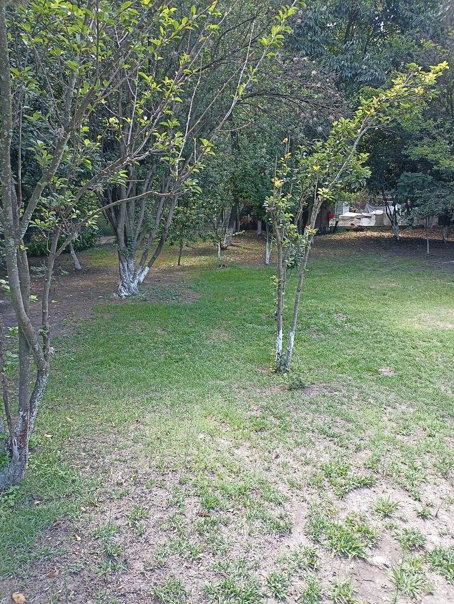 Terreno en Santiago Cuautlalpan, Tepotzotlán, foto 9 de 22