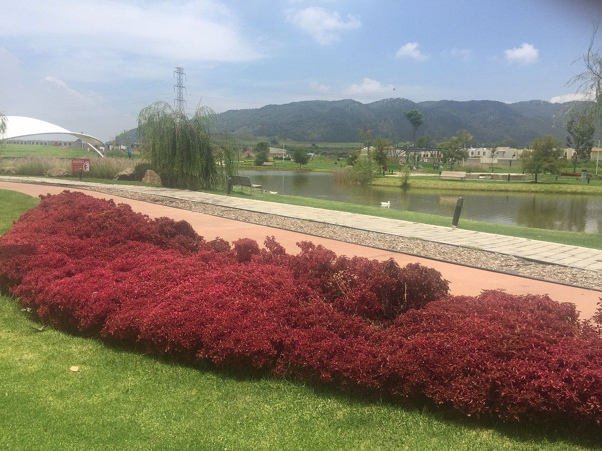 Casa em El Campestre, Zapopan, foto 26 de 29