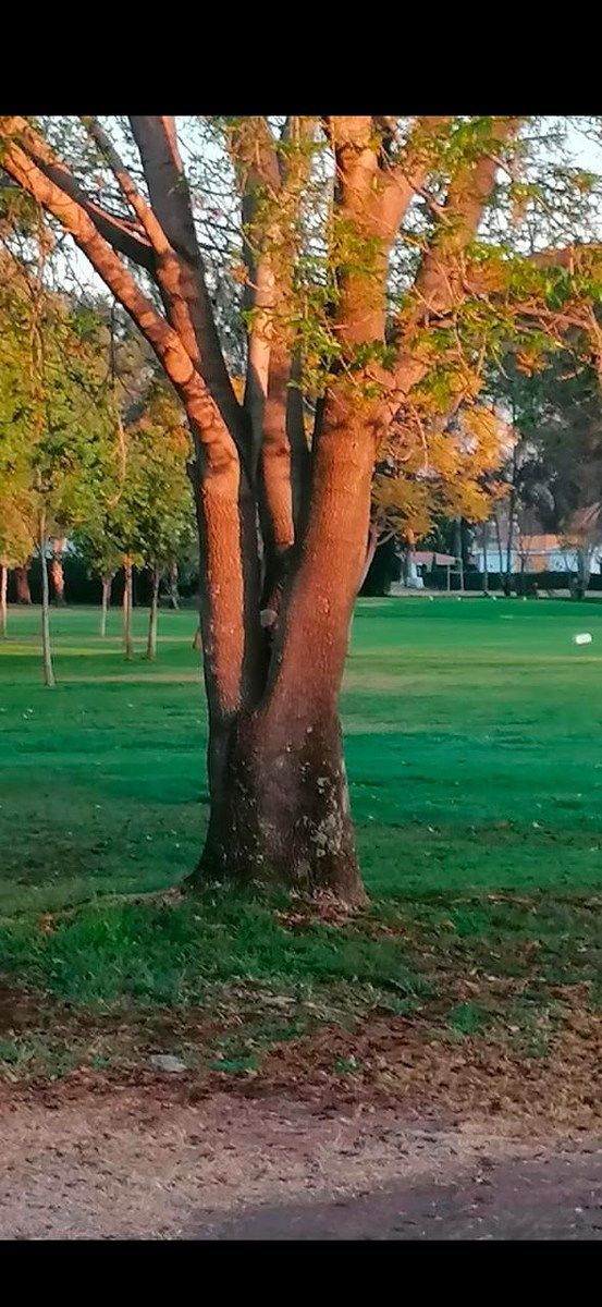 Lote em Club de Golf San Juan, San Juan del Río, foto 12 de 22