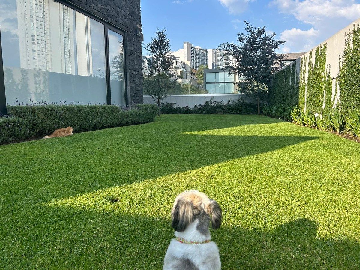 Casa em Cuajimalpa, Cuajimalpa de Morelos, foto 5 de 6
