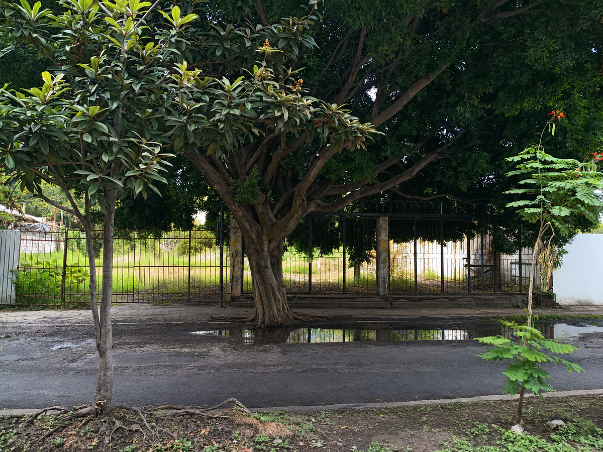 Lot in Cuernavaca Centro, Cuernavaca, photo 2 of 8
