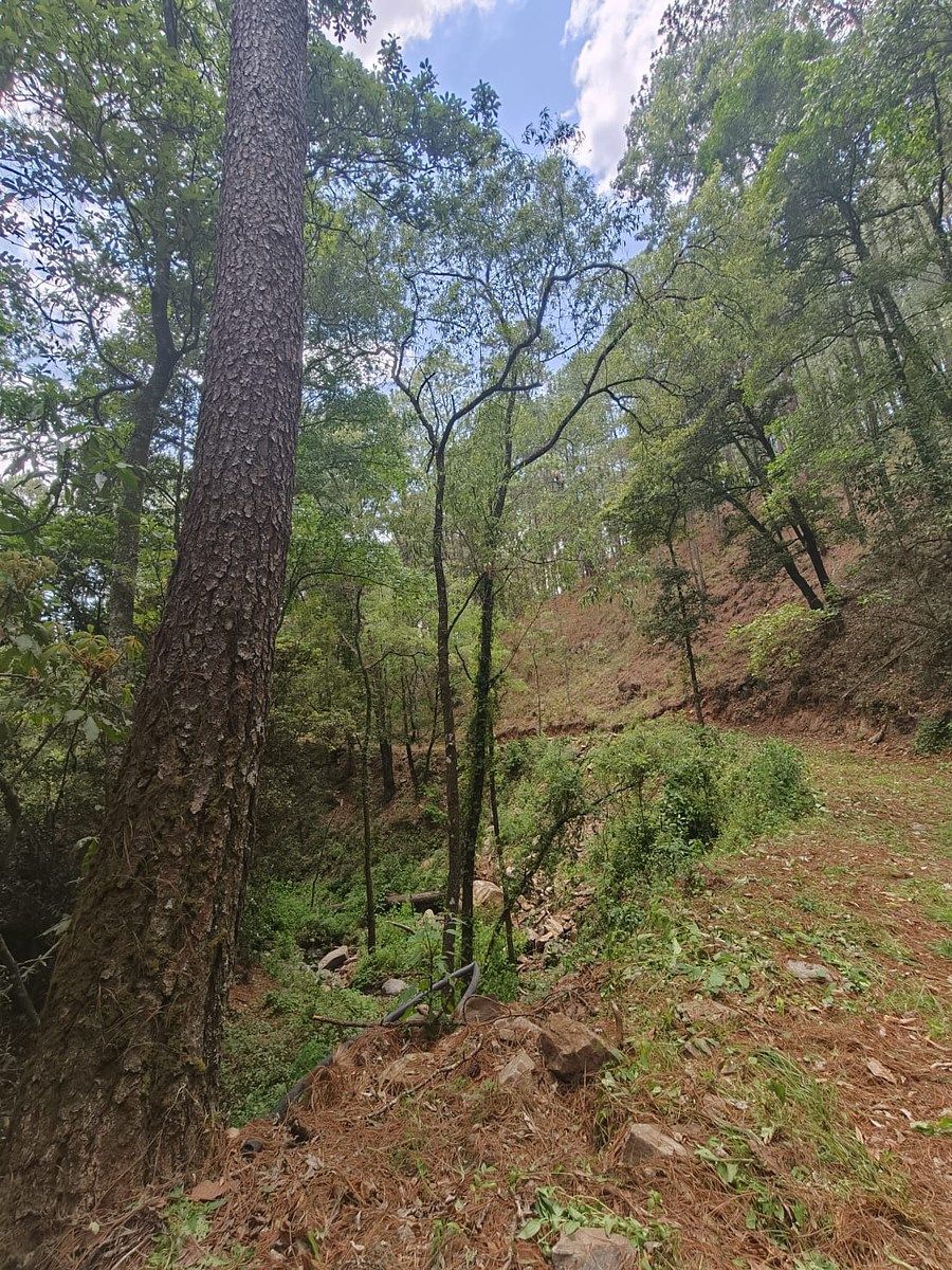 Terreno en Mazamitla, Mazamitla, foto 4 de 6