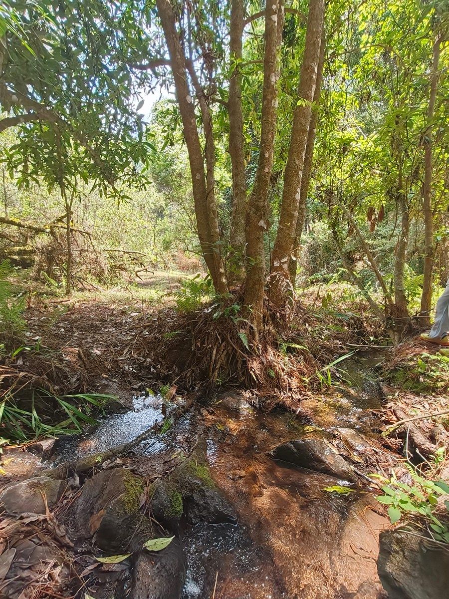 Terreno en Mazamitla, Mazamitla, foto 5 de 6